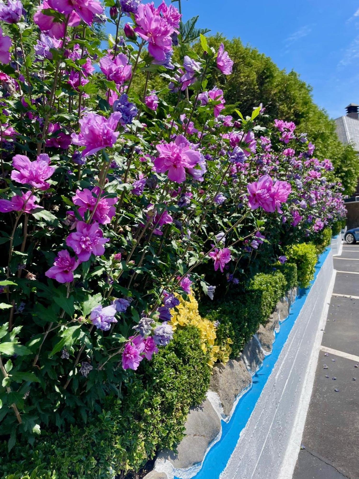 El Jardin Ξενοδοχείο Soto de la Marina Εξωτερικό φωτογραφία