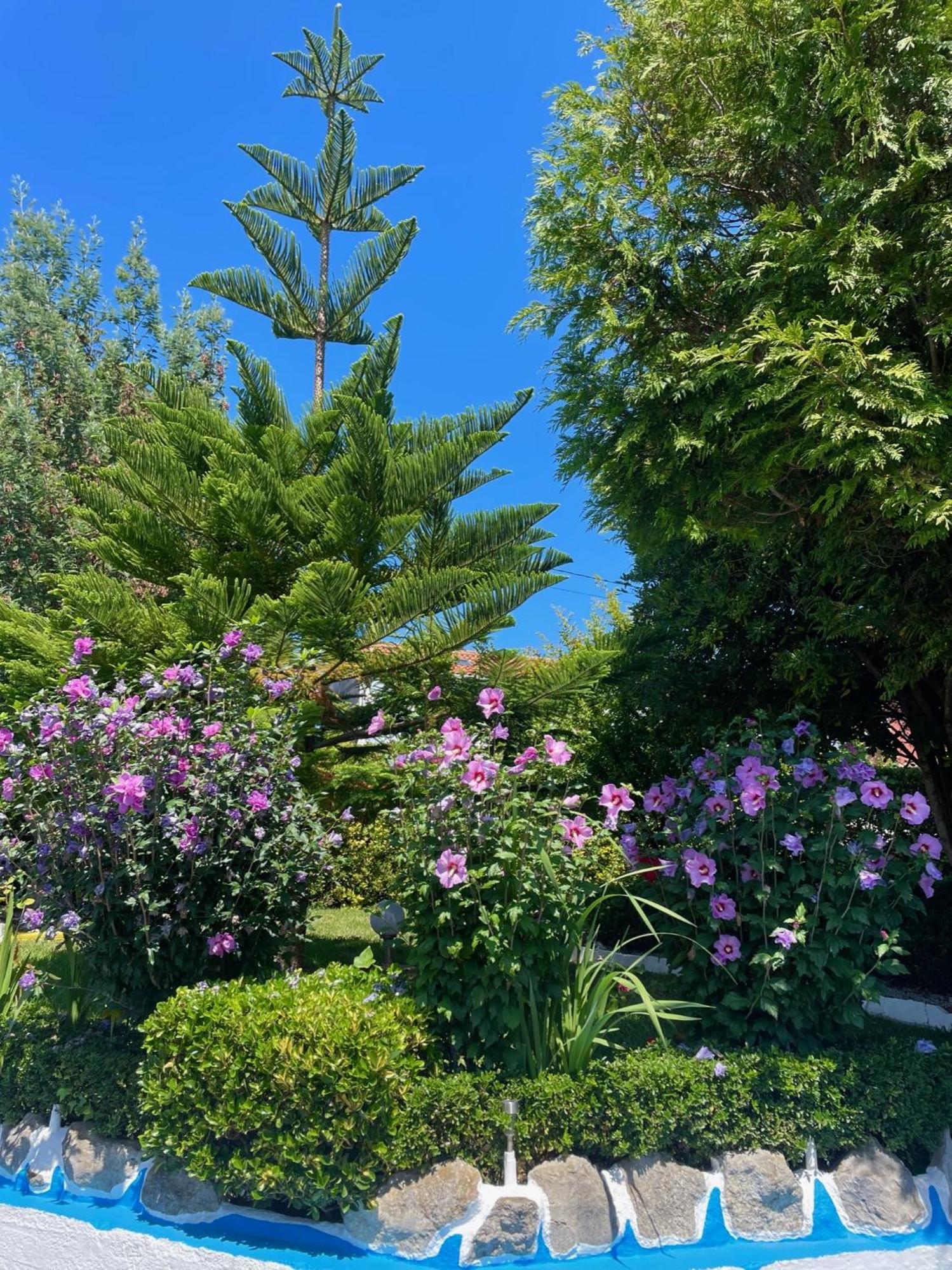 El Jardin Ξενοδοχείο Soto de la Marina Εξωτερικό φωτογραφία